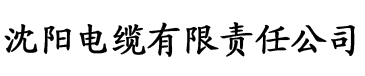 草莓视频色污电缆厂logo